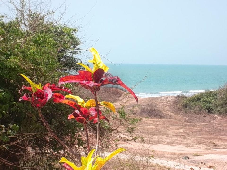 Tanji Bird Reserve Eco-Lodge (Adults Only) Ghana Town Dış mekan fotoğraf